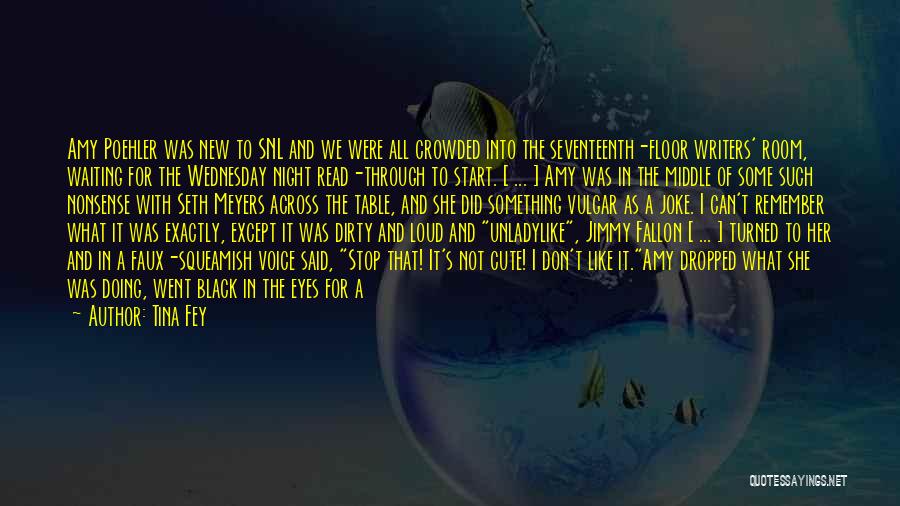 Tina Fey Quotes: Amy Poehler Was New To Snl And We Were All Crowded Into The Seventeenth-floor Writers' Room, Waiting For The Wednesday