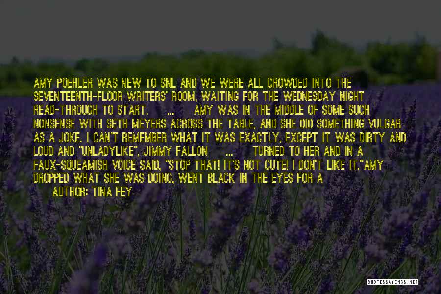 Tina Fey Quotes: Amy Poehler Was New To Snl And We Were All Crowded Into The Seventeenth-floor Writers' Room, Waiting For The Wednesday