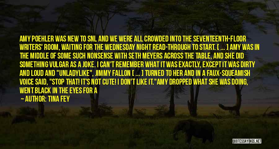 Tina Fey Quotes: Amy Poehler Was New To Snl And We Were All Crowded Into The Seventeenth-floor Writers' Room, Waiting For The Wednesday