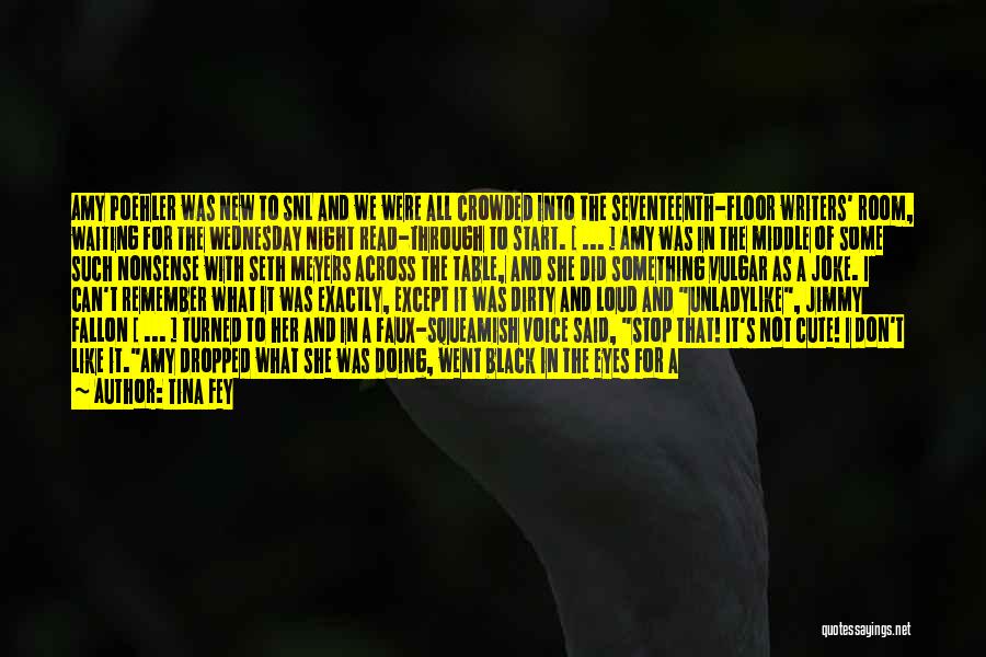 Tina Fey Quotes: Amy Poehler Was New To Snl And We Were All Crowded Into The Seventeenth-floor Writers' Room, Waiting For The Wednesday