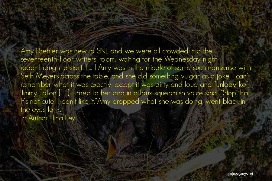 Tina Fey Quotes: Amy Poehler Was New To Snl And We Were All Crowded Into The Seventeenth-floor Writers' Room, Waiting For The Wednesday