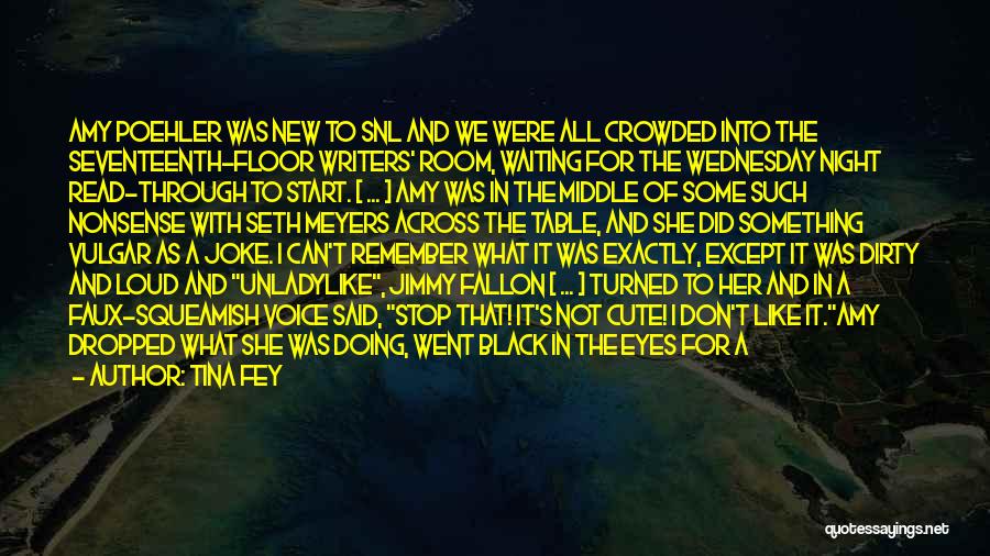 Tina Fey Quotes: Amy Poehler Was New To Snl And We Were All Crowded Into The Seventeenth-floor Writers' Room, Waiting For The Wednesday