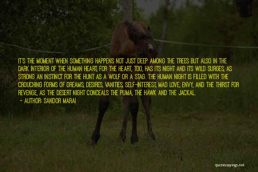 Sandor Marai Quotes: It's The Moment When Something Happens Not Just Deep Among The Trees But Also In The Dark Interior Of The