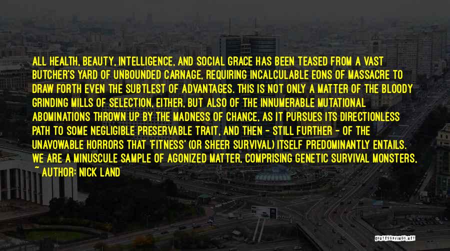 Nick Land Quotes: All Health, Beauty, Intelligence, And Social Grace Has Been Teased From A Vast Butcher's Yard Of Unbounded Carnage, Requiring Incalculable