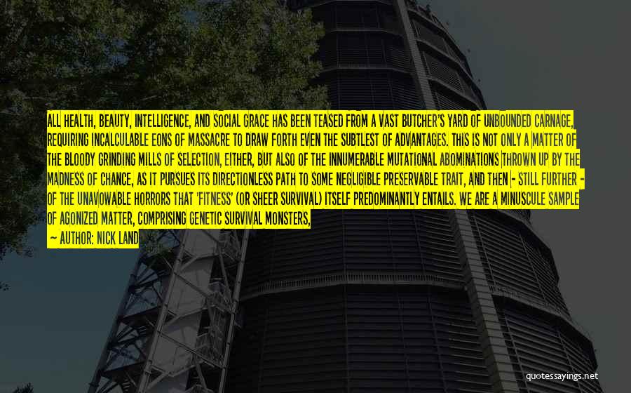 Nick Land Quotes: All Health, Beauty, Intelligence, And Social Grace Has Been Teased From A Vast Butcher's Yard Of Unbounded Carnage, Requiring Incalculable