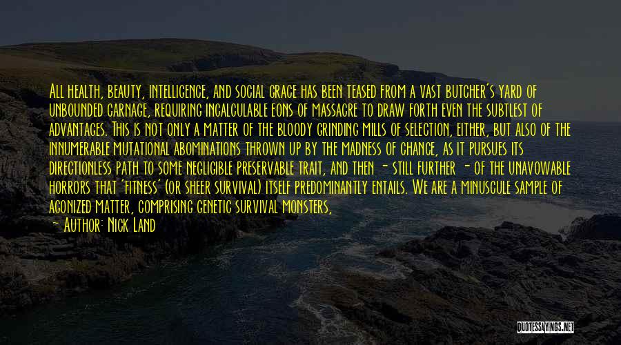 Nick Land Quotes: All Health, Beauty, Intelligence, And Social Grace Has Been Teased From A Vast Butcher's Yard Of Unbounded Carnage, Requiring Incalculable