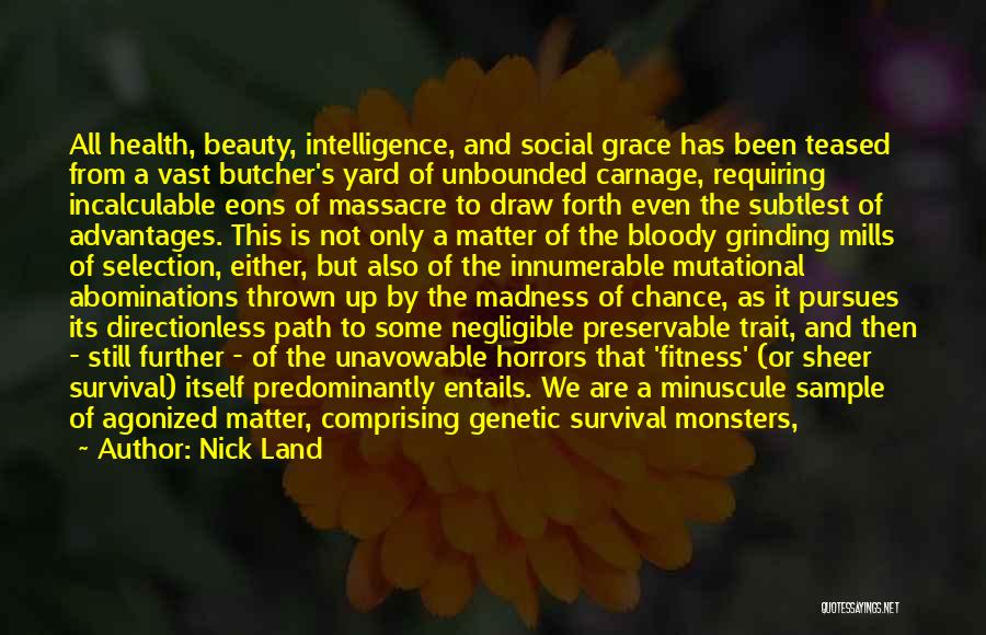 Nick Land Quotes: All Health, Beauty, Intelligence, And Social Grace Has Been Teased From A Vast Butcher's Yard Of Unbounded Carnage, Requiring Incalculable