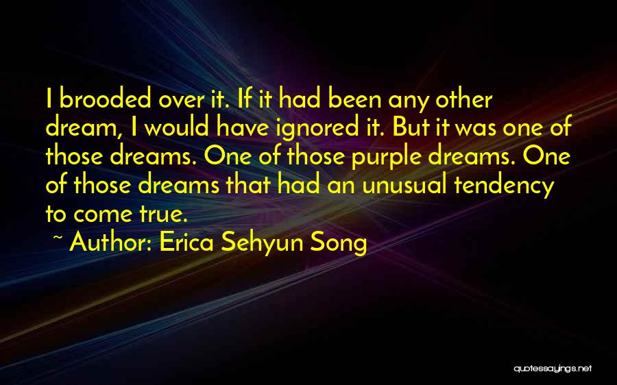 Erica Sehyun Song Quotes: I Brooded Over It. If It Had Been Any Other Dream, I Would Have Ignored It. But It Was One