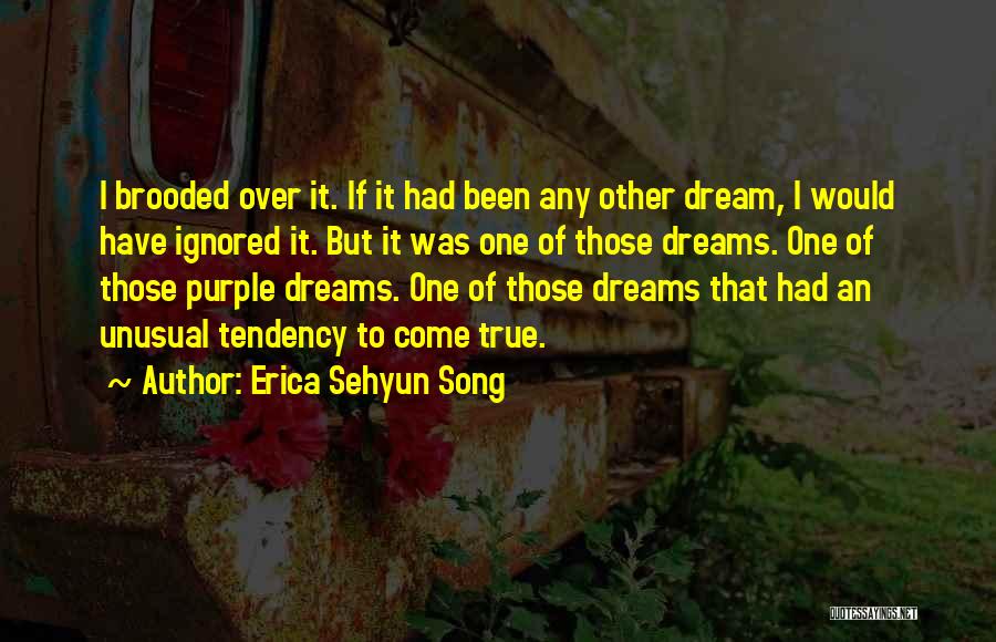 Erica Sehyun Song Quotes: I Brooded Over It. If It Had Been Any Other Dream, I Would Have Ignored It. But It Was One