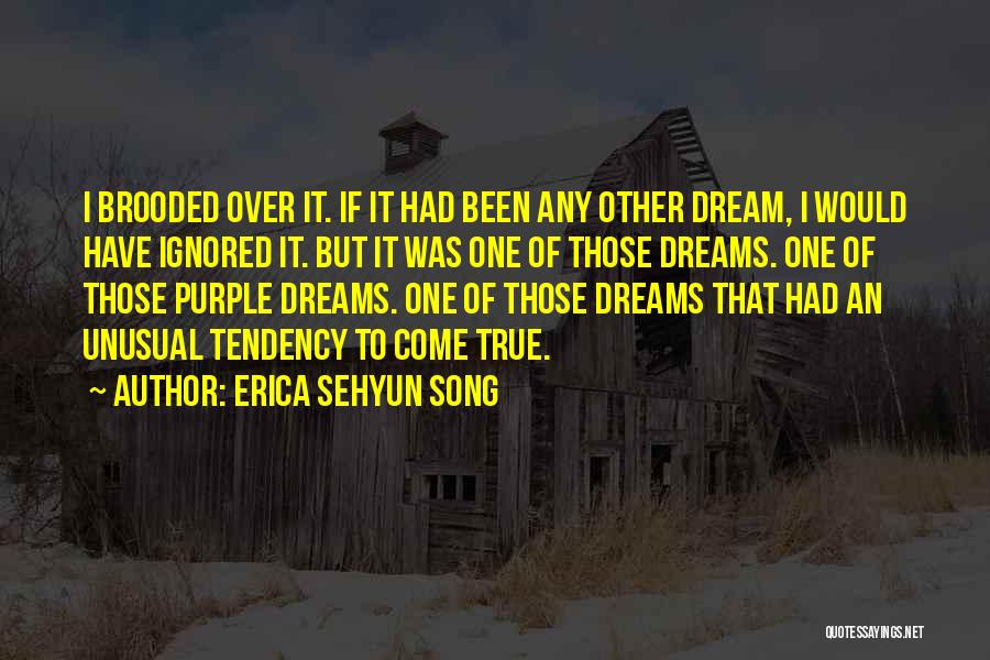 Erica Sehyun Song Quotes: I Brooded Over It. If It Had Been Any Other Dream, I Would Have Ignored It. But It Was One