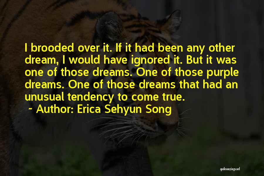 Erica Sehyun Song Quotes: I Brooded Over It. If It Had Been Any Other Dream, I Would Have Ignored It. But It Was One