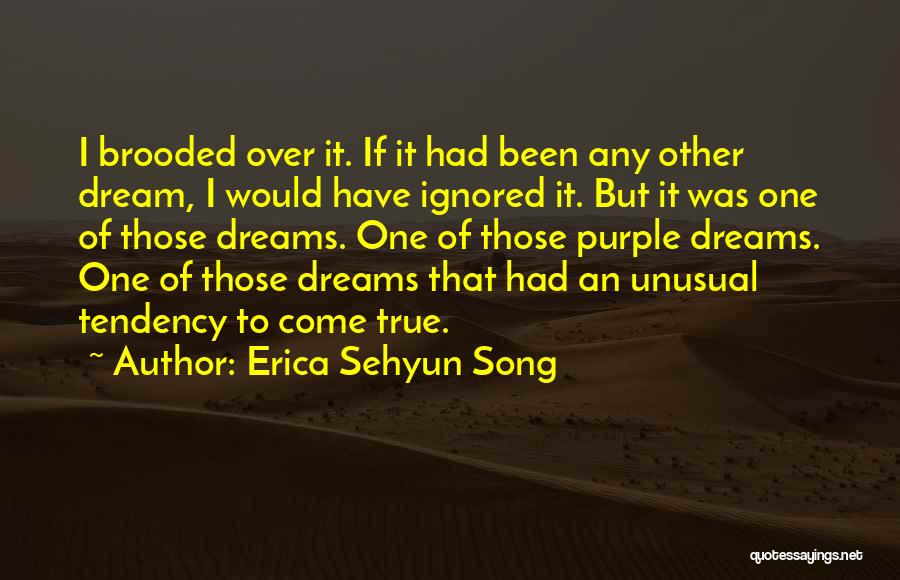 Erica Sehyun Song Quotes: I Brooded Over It. If It Had Been Any Other Dream, I Would Have Ignored It. But It Was One