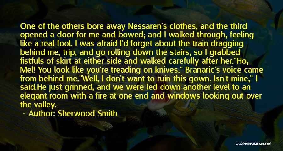 Sherwood Smith Quotes: One Of The Others Bore Away Nessaren's Clothes, And The Third Opened A Door For Me And Bowed; And I