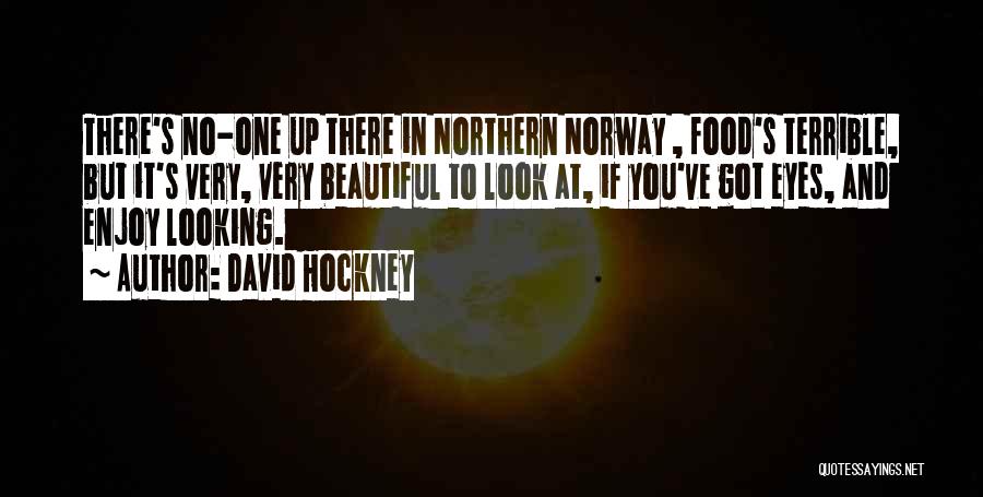 David Hockney Quotes: There's No-one Up There In Northern Norway , Food's Terrible, But It's Very, Very Beautiful To Look At, If You've