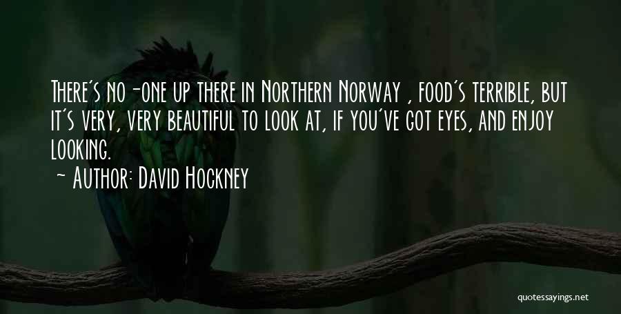 David Hockney Quotes: There's No-one Up There In Northern Norway , Food's Terrible, But It's Very, Very Beautiful To Look At, If You've
