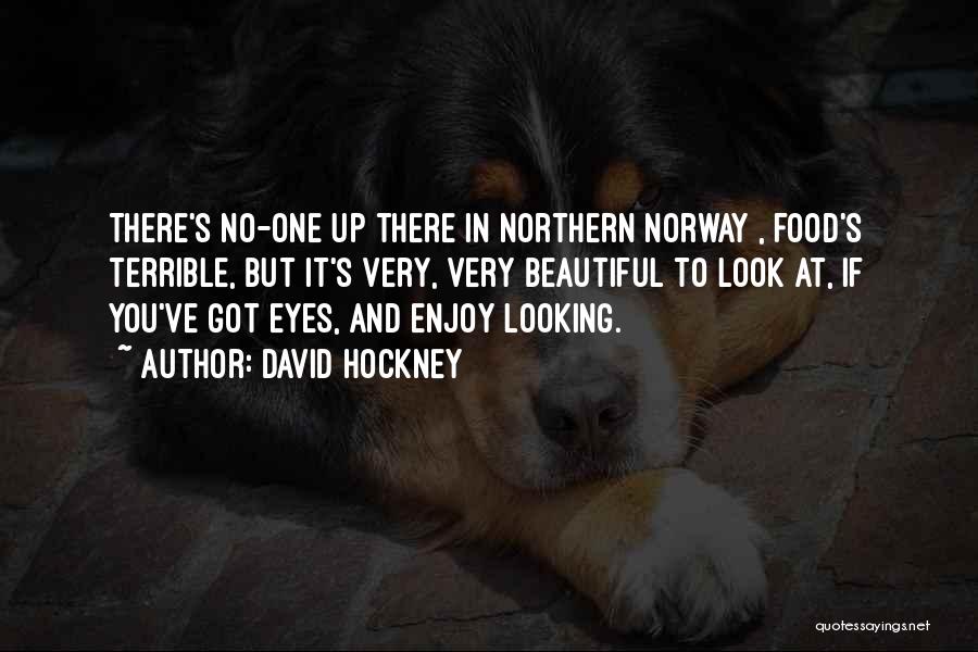 David Hockney Quotes: There's No-one Up There In Northern Norway , Food's Terrible, But It's Very, Very Beautiful To Look At, If You've
