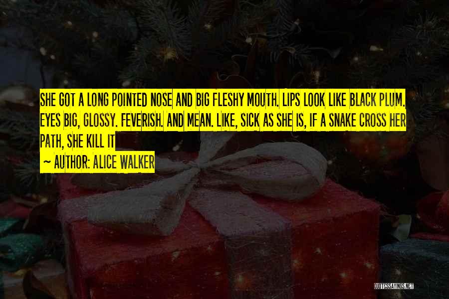 Alice Walker Quotes: She Got A Long Pointed Nose And Big Fleshy Mouth. Lips Look Like Black Plum. Eyes Big, Glossy. Feverish. And