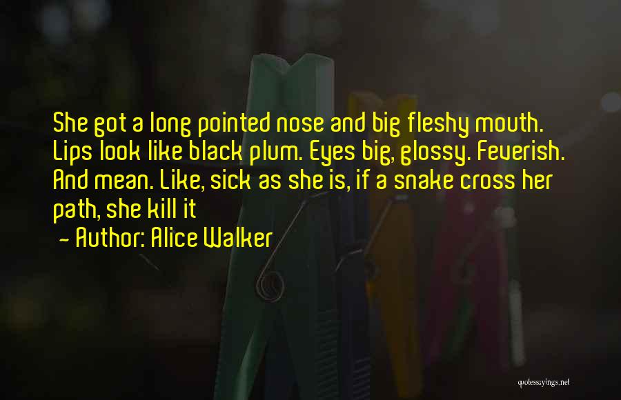 Alice Walker Quotes: She Got A Long Pointed Nose And Big Fleshy Mouth. Lips Look Like Black Plum. Eyes Big, Glossy. Feverish. And