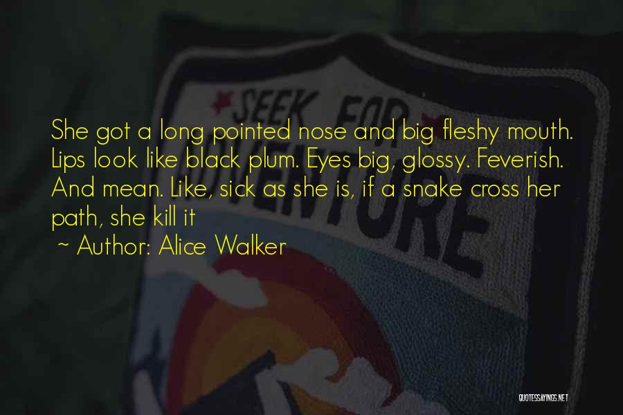 Alice Walker Quotes: She Got A Long Pointed Nose And Big Fleshy Mouth. Lips Look Like Black Plum. Eyes Big, Glossy. Feverish. And