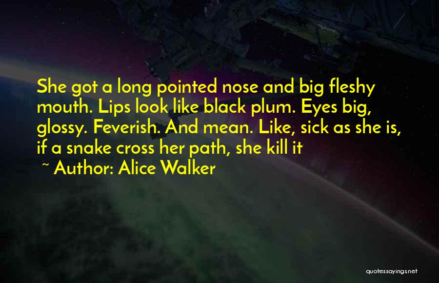 Alice Walker Quotes: She Got A Long Pointed Nose And Big Fleshy Mouth. Lips Look Like Black Plum. Eyes Big, Glossy. Feverish. And