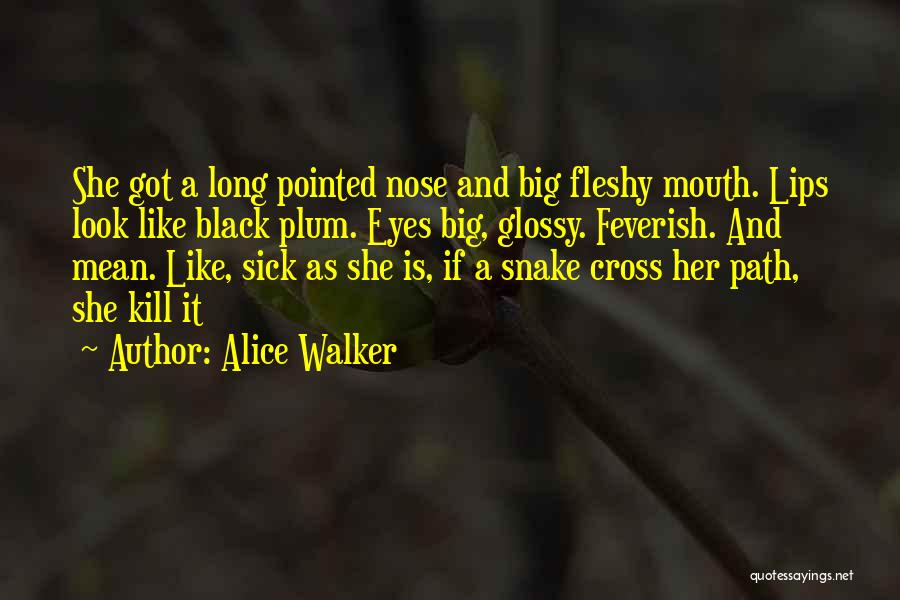 Alice Walker Quotes: She Got A Long Pointed Nose And Big Fleshy Mouth. Lips Look Like Black Plum. Eyes Big, Glossy. Feverish. And