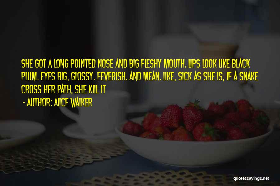 Alice Walker Quotes: She Got A Long Pointed Nose And Big Fleshy Mouth. Lips Look Like Black Plum. Eyes Big, Glossy. Feverish. And