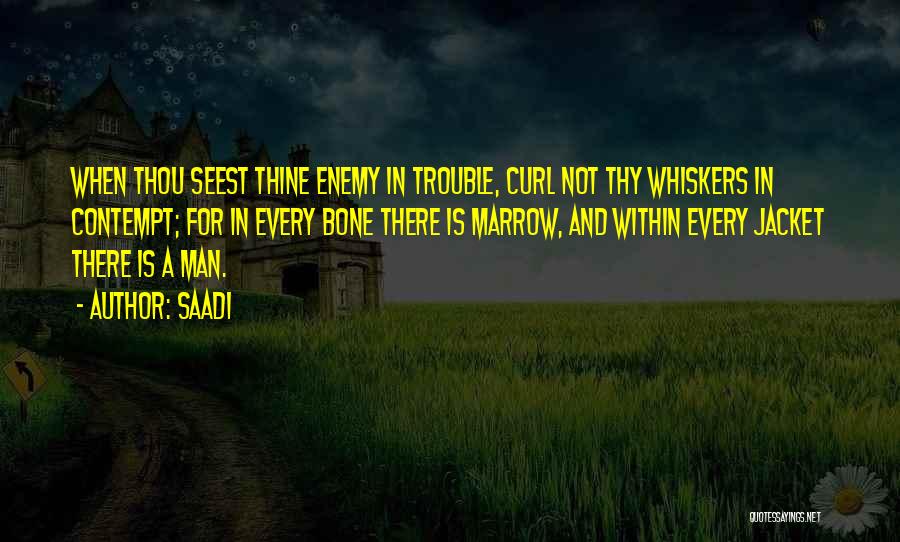 Saadi Quotes: When Thou Seest Thine Enemy In Trouble, Curl Not Thy Whiskers In Contempt; For In Every Bone There Is Marrow,