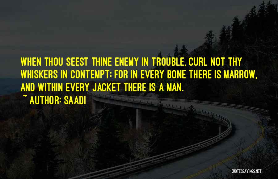 Saadi Quotes: When Thou Seest Thine Enemy In Trouble, Curl Not Thy Whiskers In Contempt; For In Every Bone There Is Marrow,