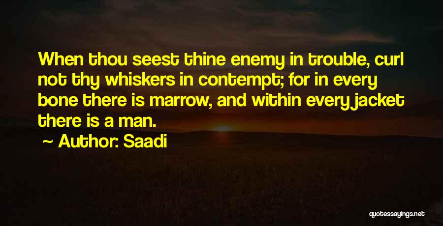 Saadi Quotes: When Thou Seest Thine Enemy In Trouble, Curl Not Thy Whiskers In Contempt; For In Every Bone There Is Marrow,