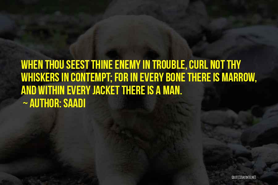 Saadi Quotes: When Thou Seest Thine Enemy In Trouble, Curl Not Thy Whiskers In Contempt; For In Every Bone There Is Marrow,