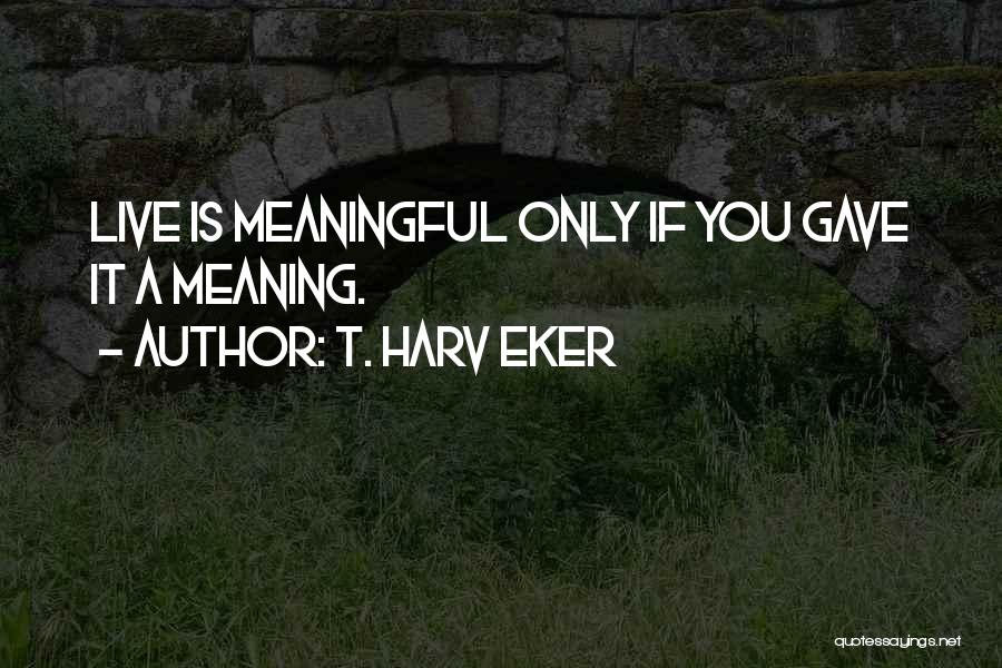 T. Harv Eker Quotes: Live Is Meaningful Only If You Gave It A Meaning.