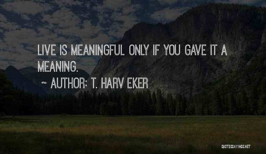 T. Harv Eker Quotes: Live Is Meaningful Only If You Gave It A Meaning.