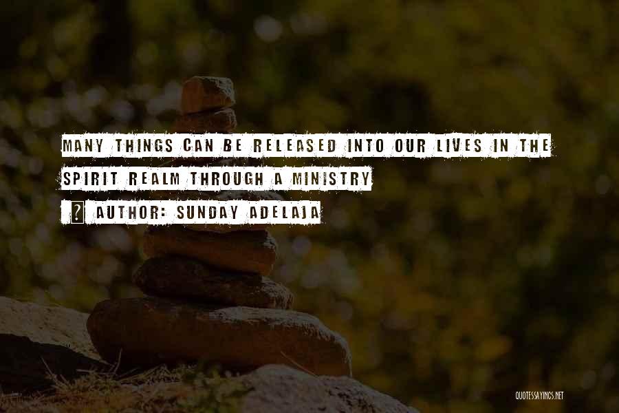 Sunday Adelaja Quotes: Many Things Can Be Released Into Our Lives In The Spirit Realm Through A Ministry