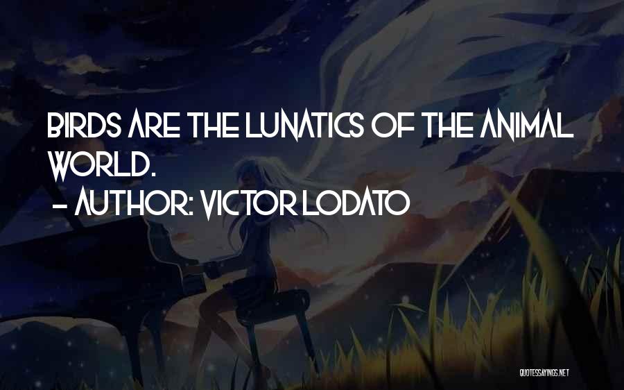 Victor Lodato Quotes: Birds Are The Lunatics Of The Animal World.