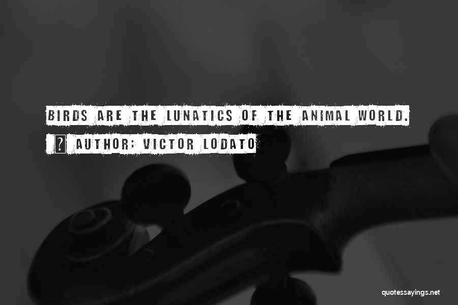 Victor Lodato Quotes: Birds Are The Lunatics Of The Animal World.