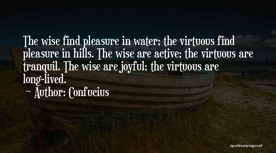 Confucius Quotes: The Wise Find Pleasure In Water; The Virtuous Find Pleasure In Hills. The Wise Are Active; The Virtuous Are Tranquil.