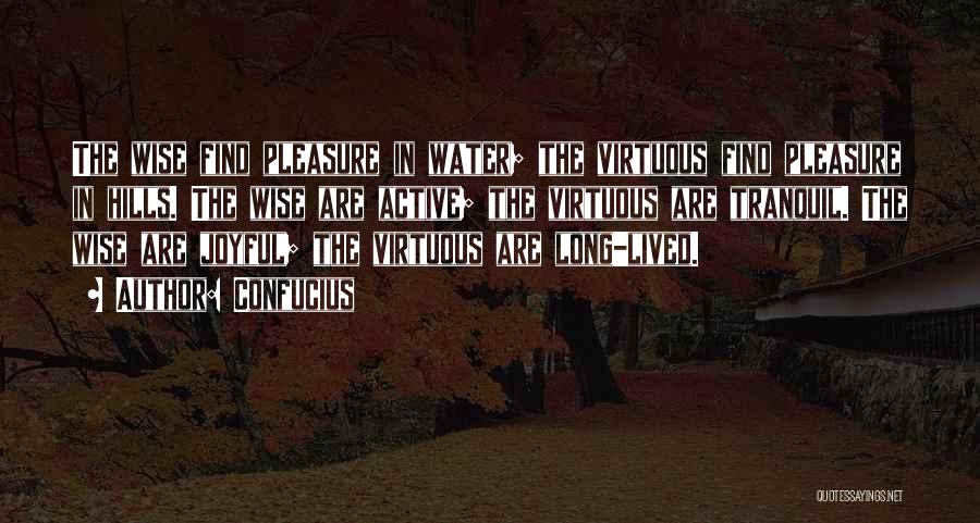 Confucius Quotes: The Wise Find Pleasure In Water; The Virtuous Find Pleasure In Hills. The Wise Are Active; The Virtuous Are Tranquil.