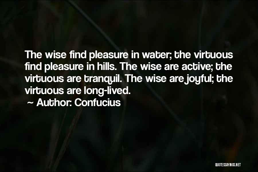 Confucius Quotes: The Wise Find Pleasure In Water; The Virtuous Find Pleasure In Hills. The Wise Are Active; The Virtuous Are Tranquil.