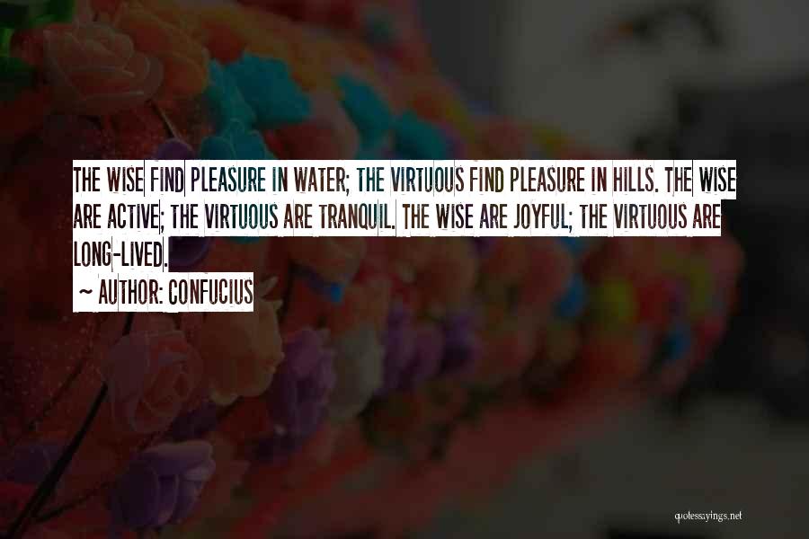 Confucius Quotes: The Wise Find Pleasure In Water; The Virtuous Find Pleasure In Hills. The Wise Are Active; The Virtuous Are Tranquil.