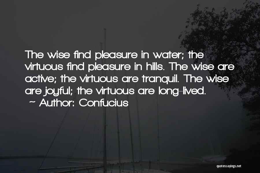 Confucius Quotes: The Wise Find Pleasure In Water; The Virtuous Find Pleasure In Hills. The Wise Are Active; The Virtuous Are Tranquil.