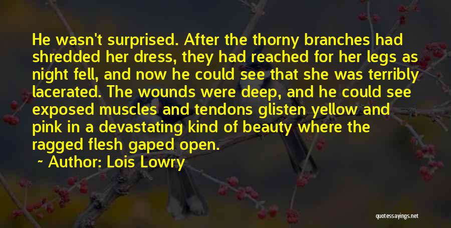 Lois Lowry Quotes: He Wasn't Surprised. After The Thorny Branches Had Shredded Her Dress, They Had Reached For Her Legs As Night Fell,