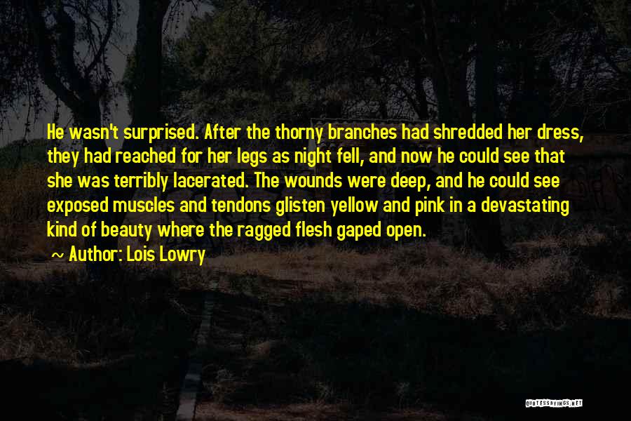 Lois Lowry Quotes: He Wasn't Surprised. After The Thorny Branches Had Shredded Her Dress, They Had Reached For Her Legs As Night Fell,