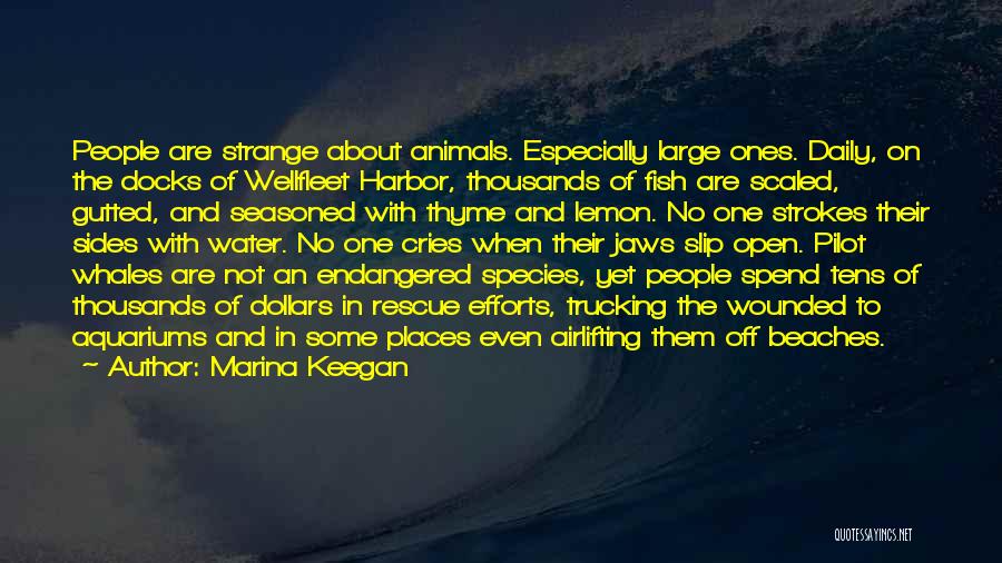 Marina Keegan Quotes: People Are Strange About Animals. Especially Large Ones. Daily, On The Docks Of Wellfleet Harbor, Thousands Of Fish Are Scaled,