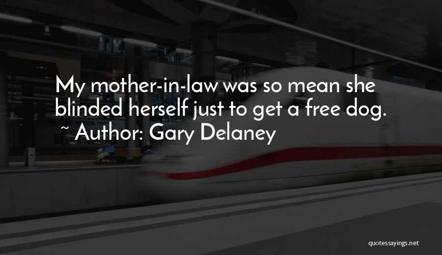 Gary Delaney Quotes: My Mother-in-law Was So Mean She Blinded Herself Just To Get A Free Dog.