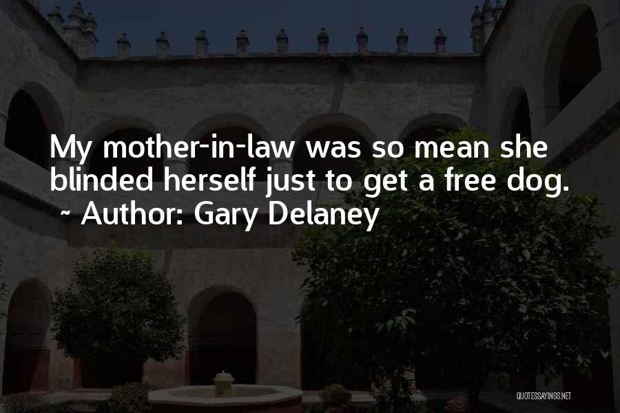 Gary Delaney Quotes: My Mother-in-law Was So Mean She Blinded Herself Just To Get A Free Dog.