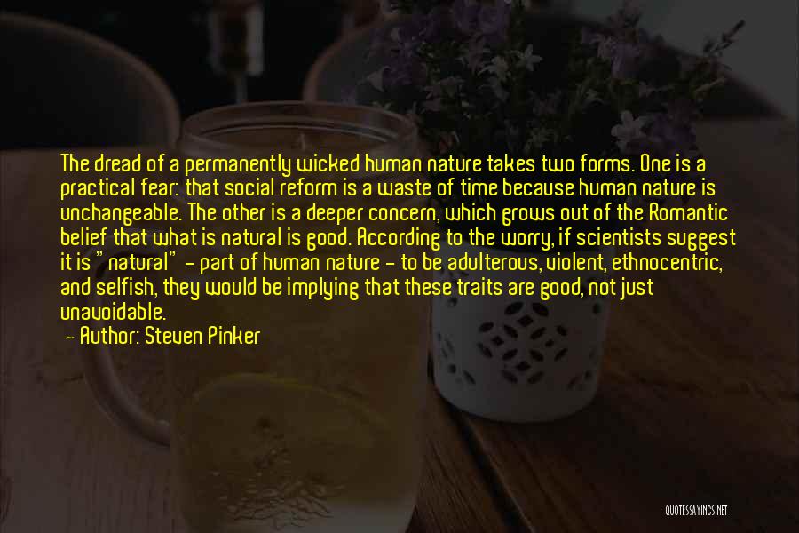 Steven Pinker Quotes: The Dread Of A Permanently Wicked Human Nature Takes Two Forms. One Is A Practical Fear: That Social Reform Is