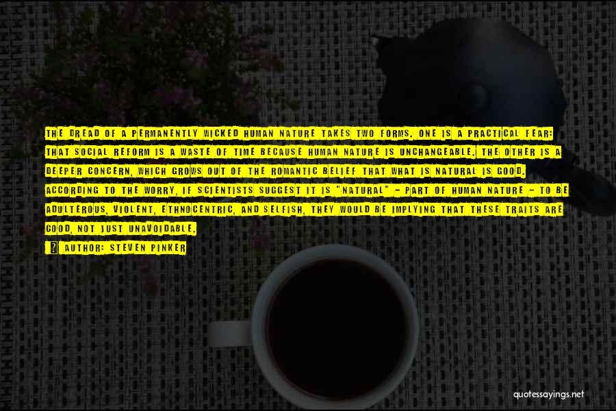 Steven Pinker Quotes: The Dread Of A Permanently Wicked Human Nature Takes Two Forms. One Is A Practical Fear: That Social Reform Is