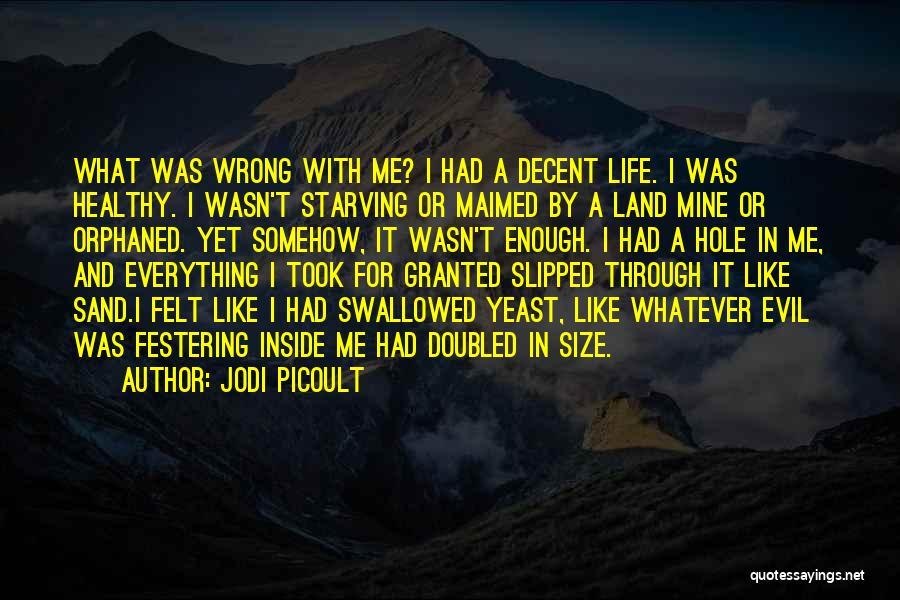 Jodi Picoult Quotes: What Was Wrong With Me? I Had A Decent Life. I Was Healthy. I Wasn't Starving Or Maimed By A
