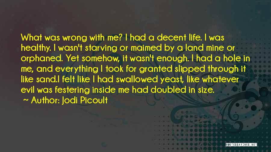 Jodi Picoult Quotes: What Was Wrong With Me? I Had A Decent Life. I Was Healthy. I Wasn't Starving Or Maimed By A