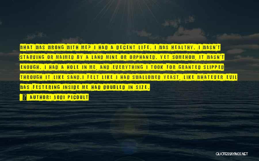 Jodi Picoult Quotes: What Was Wrong With Me? I Had A Decent Life. I Was Healthy. I Wasn't Starving Or Maimed By A